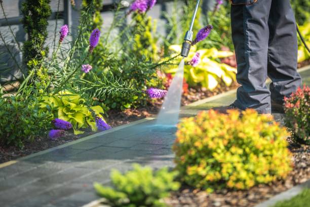 Best Winterizing Services  in St Augustine Shores, FL